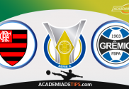 Flamengo x Grêmio , Prognóstico, Analise e Apostas Online – Brasileirão